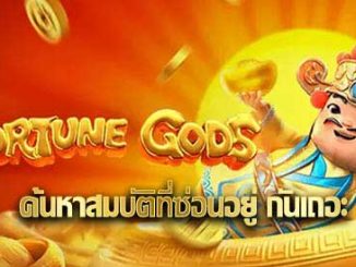 fortune gods pg slot